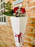 Kit floral de 2 rosas no cone com folhagens e gipsofila, Loja Petrolina, Floricultura Petrolina, Flores Petrolina, Loja Virtual de flores, Kit floral
