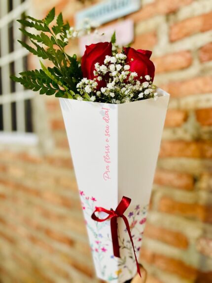 Kit floral de 2 rosas no cone com folhagens e gipsofila, Loja Petrolina, Floricultura Petrolina, Flores Petrolina, Loja Virtual de flores, Kit floral