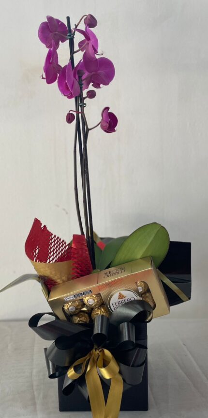 Orquídea na Caixa Box com Ferrero Rocher (8 unidades)