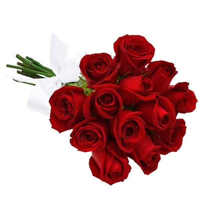 Buque de 12 Rosas Vermelhas 1 webp
